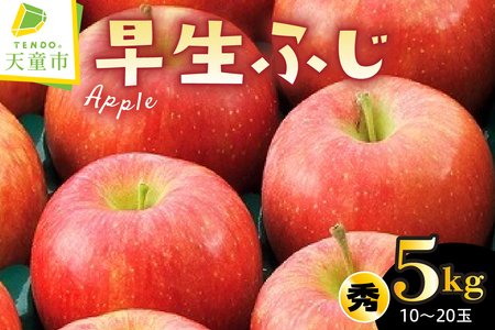 りんご ( 早生ふじ ) 5kg フルーツ 果物 山形