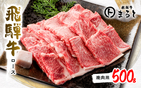 【飛騨牛A4等級以上】特選ロース(焼肉用)500g【配送不可地域：離島】【1451224】