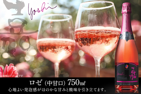 スパークリング 嘉 スパークリングワイン4本セット 白&ロゼ 辛口&甘口&中甘口セット750ml ×4 高畠ワイン [小田部商店 山形県 高畠町 tk06ayt180030]  辛口 甘口 中甘口 ワ