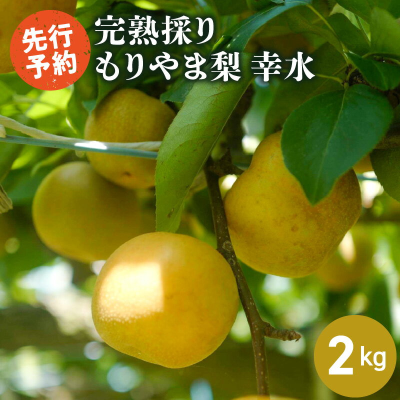 【ふるさと納税】完熟採り　もりやま梨　幸水　2キロ【2025年8月中旬お届け】