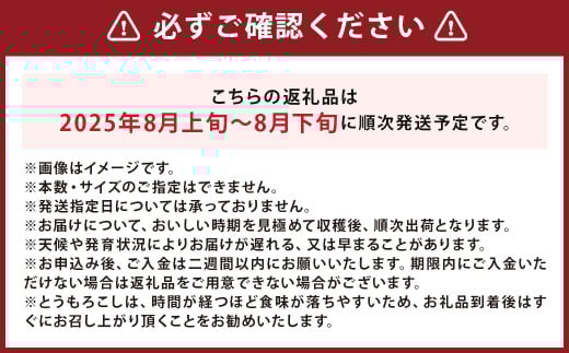 北海道産 とうもろこし 恵味 2Lサイズ 11本 約4kg 1箱 国産 トウモロコシ 冷蔵 【2025年8月上旬-8月下旬迄発送予定】