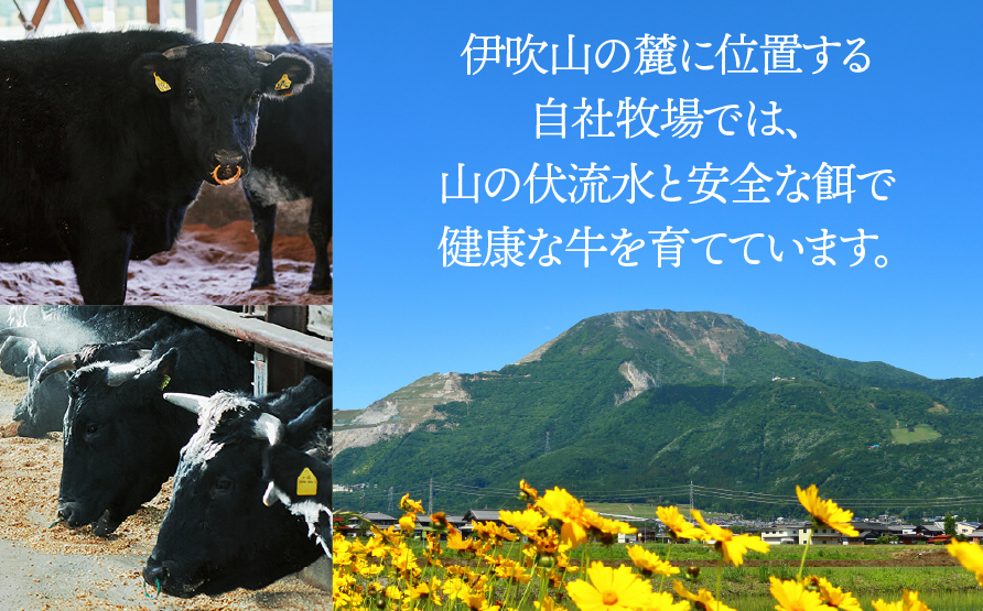 【飛騨牛】 ロースまたは肩ロース720g (すき焼き・しゃぶしゃぶ用) 2025/9/19〜