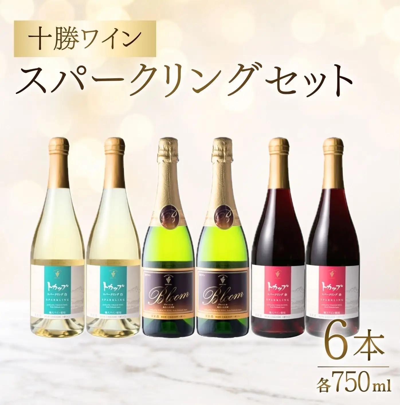 【ふるなびWEEK対象】十勝ワイン スパークリング6本セット（3種類）  ブルーム トカップ 北海道ワイン 北海道池田町 食前酒 お祝い パーティー スパークリング