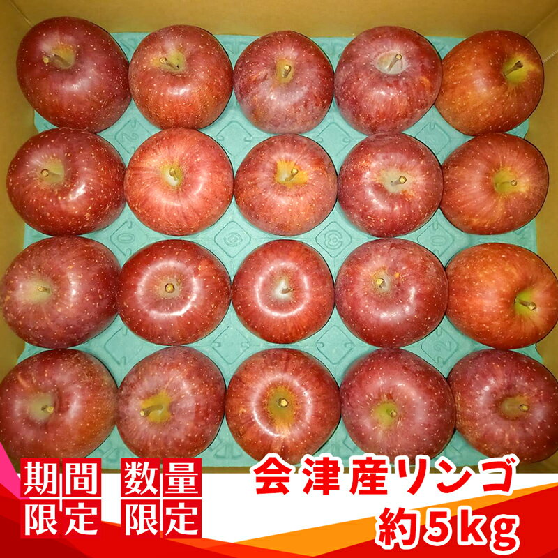 【ふるさと納税】[先行予約] サンふじ 約5kg (季節の果物)｜2025年産 令和7年産 りんご リンゴ フルーツ 果物 産直 会津産 数量限定 [0943]