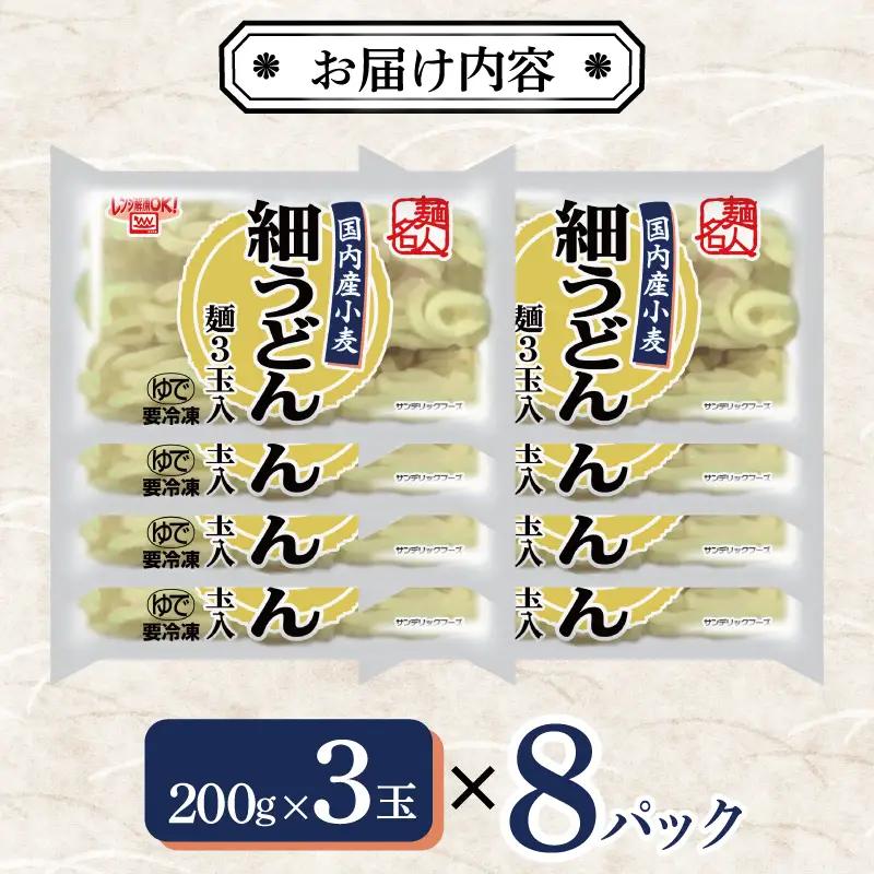麺名人 国産小麦 細うどん 24食