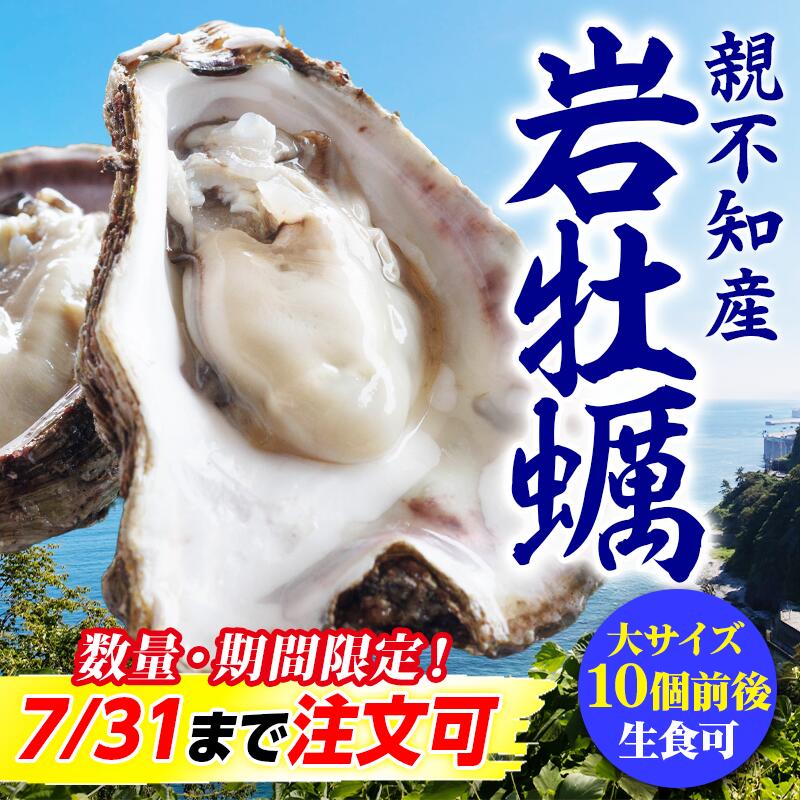 【ふるさと納税】【先行予約】親不知産 天然岩牡蠣(生食用) 大サイズ10個前後 2026年7月中旬以降順次発送 鮮度抜群！ 水揚げ直後に発送 日本海 かき カキ 岩ガキ 水揚げ直後に発送 親不知産 糸魚川 親不知おさかなセンター 牡蠣 新潟県 期間限定 産地直送 生牡蠣 国産