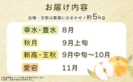 旬の梨（約5kg)＜筑前町産 産地直送＞【梨 なし ナシ 果物 梨 なし 果実 くだもの 梨 なしフルーツ 新鮮 豊水 梨 なし 幸水 梨 なし 秋月 梨 なし あきづき 梨 なし 新高 梨 なし 王