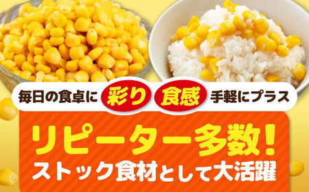 【全6回定期便】自然甘 ホールコーン 12缶【きもべつ観光協会】 缶詰 瓶詰 加工品 とうもろこし 北海道 常温配送 [AJAG029]