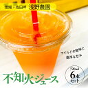 【ふるさと納税】不知火ジュース720ml×6本入｜愛媛県産 伊方町特産品 佐田岬 浅野農園 柑橘100%ジュース 不知火 保存料なし ※離島への配送不可