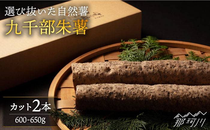 
【選び抜いた「粘り」と「香り」】先行予約！自然薯「九千部朱薯」600ℊ～650ℊ（2本）＜株式会社九千部＞那珂川市 [GAZ001]
