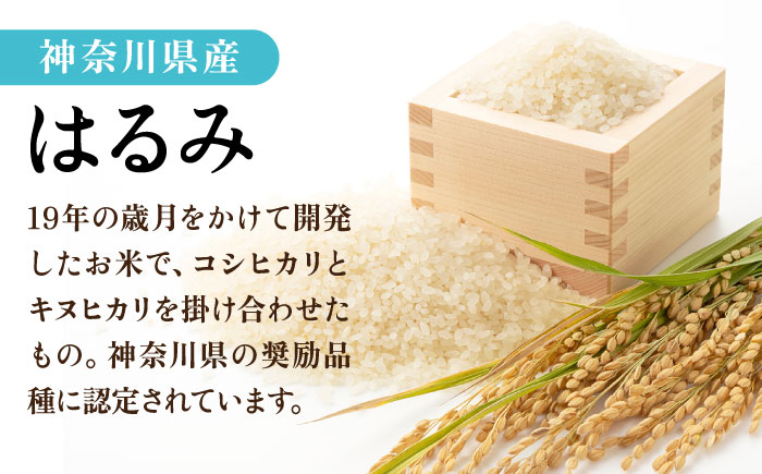【数量限定】お米　はるみ　5kg【株式会社ヨコショク】 [AKGC001]