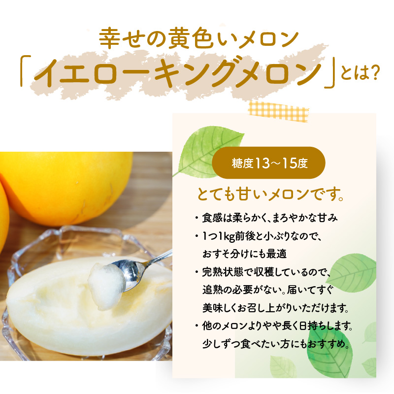 〈予約受付〉【2027年発送】 完熟！イエローキングメロン 4kg前後（4玉） 追熟不要 甘い さっぱり スイーツ 果物 さわやか かわいい H141-023