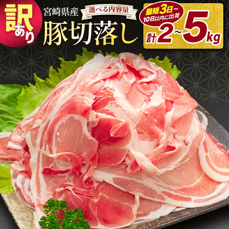 「訳あり」宮崎県産 豚切落し 5kg