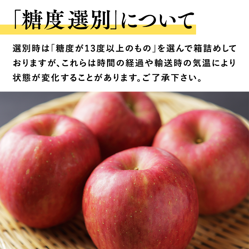 年明け  最高級「特選」糖度選別サンふじ 約3kg 【JA津軽みらい・平川市産・青森りんご・1月・2月】