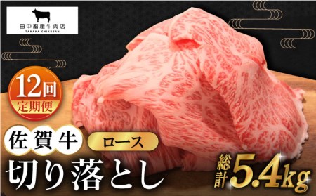 【全12回定期便】佐賀牛 ロース 切り落とし 450g [HBH068] 黒毛和牛 牛肉 肉 カレー 肉じゃが 牛丼 定期 定期便