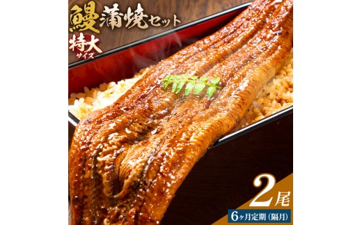 【隔月定期便全6回】＼特大サイズ／ 鹿児島県産 鰻蒲焼真空セット！ 2尾  タレ・山椒付！ 株式会社薩摩川内鰻 《お申込みの翌月出荷》  鹿児島県 さつま町 送料無料 ウナギ 丑の日 うなぎ 刻み グルメ 特大 鰻 蒲焼 真空