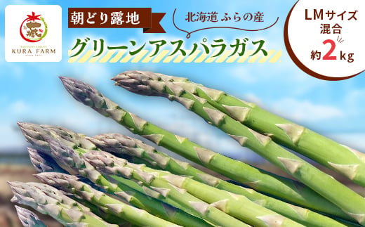 
                  ＜2027年発送＞ふらの産　朝どり露地グリーンアスパラガス(LMサイズ混合 約2kg)〈藏ファーム〉【1502821】
                