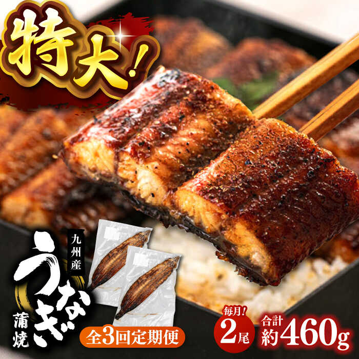 【ふるさと納税】全3回定期便 鹿児島産うなぎ 蒲焼　2尾セット（たれ付き） ▼国産 ウナギ 特大 蒲焼き 丑の日 鰻 うなぎ 定期便 桂川町/山水商事[ADAH012]