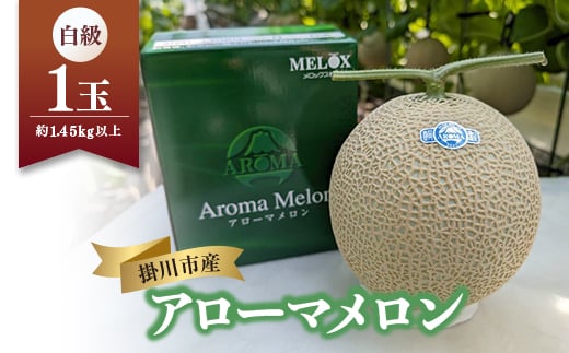 静岡温室マスクメロン アローマ印　　　　　白級約1.45kg以上　1玉_メロン マスクメロン めろん アローマメロン 果物 くだもの フルーツ デザート 産直 産地直送 静岡県 ギフト プレゼント 送