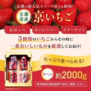 【数量限定】高級 京いちご 内容量 約2,000g（250g 8パック）【紅ほっぺ おいCベリー スターナイトから厳選してお届け】訳あり 完熟 朝採れ ※離島への配送不可 ※2025年2月上旬～5月下