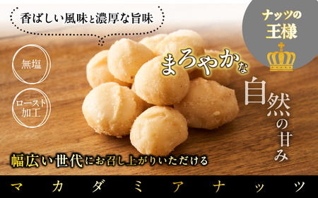 マカダミアナッツ1kg（300g×3・100g×1）DSX004