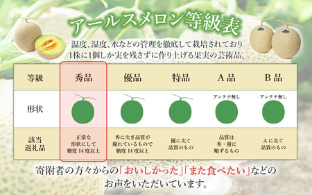 12-16茨城県産アールスメロン【秀品】1個【2024年9月上旬～10月下旬ごろ発送予定】
