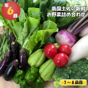 定期便 野菜 7～8品目 6回 南国土佐の新鮮お野菜 詰め合わせ お楽しみ セット 詰め合わせ 季節 新鮮 産地直送 高知県 須崎市