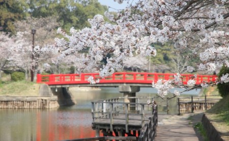 福岡県朝倉市　日本旅行　地域限定旅行クーポン30,000円分 チケット 