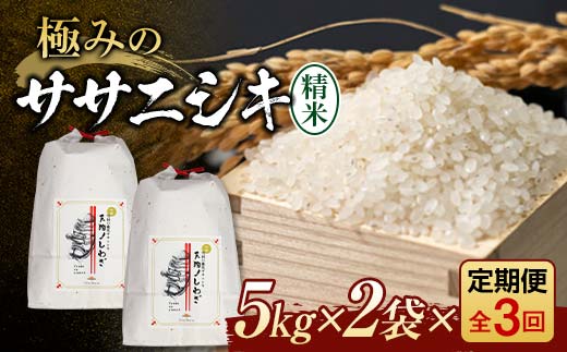 【令和8年産米先行予約】(全3回定期便)極みのササニシキ 精米 5kg×2袋 米 お米 おこめ ふるさと納税 山形県 新庄市 F3S-2876