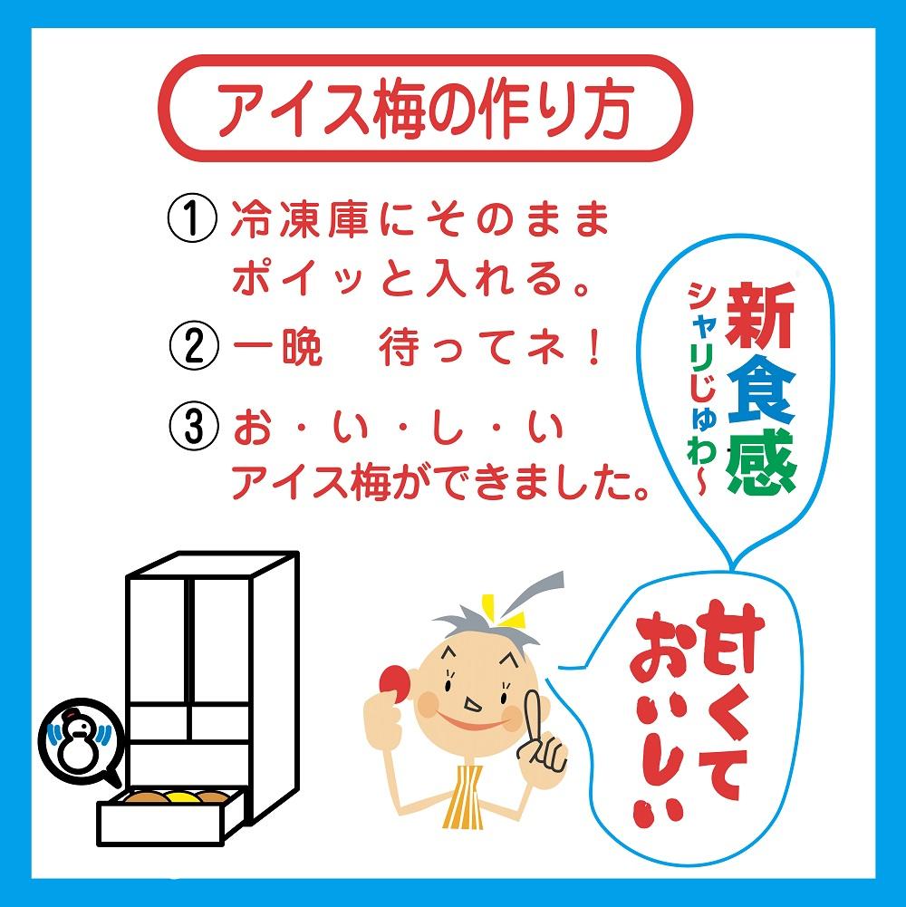 紀州産南高梅紀州アイス梅 9粒入り A-075a