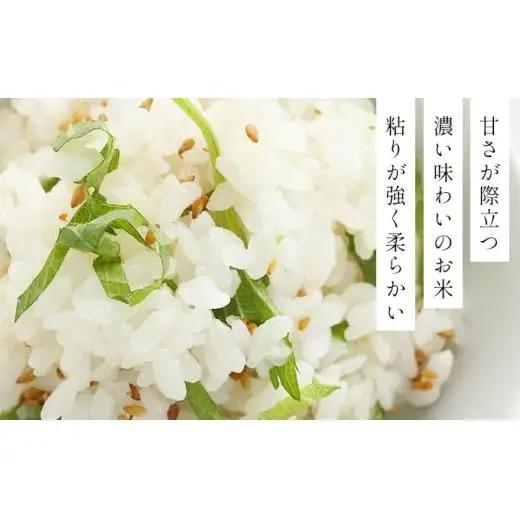 令和7年産 ファーム坂口の特別栽培米 ゆめぴりか精米 15kg(5kg×3袋)