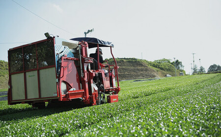 【新茶】奥八女新茶 詰合わせ(5本)【2026年5月発送開始】 お茶 八女茶 緑茶 茶葉 濃厚 国産 福岡県 八女市 050-013