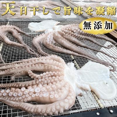 ふるさと納税 南知多町 【無添加】真蛸の干物　大1杯(350g前後)岬だより |  | 03