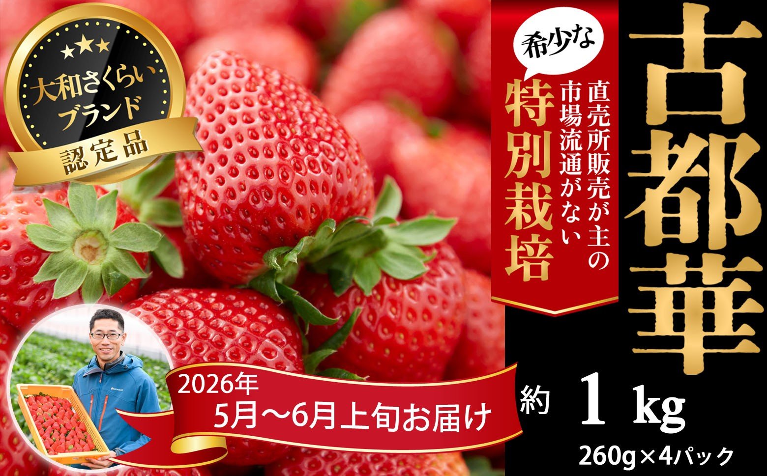 
            M-BH7.【5月～6月上旬発送】減農薬いちご「古都華」4パック 特別栽培農産物
          