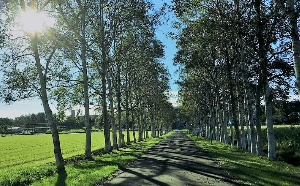 ペットと泊まれる民泊 BoniCaroB&B 1名様一泊分　宿泊券