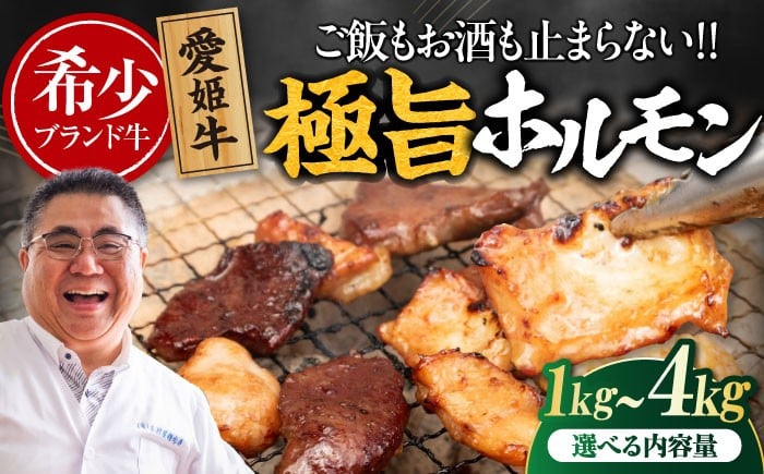 
            【冷凍】【選べる容量】 愛姫牛 肉屋のこだわりお惣菜 タレ漬けミックスホルモン  愛媛県大洲市/有限会社 木村屋精肉店 牛丼 牛肉 和牛 牛 国産 [AGCC068]国産和牛 愛媛県産 大洲市産 人気 おすすめ ランキング 簡単 おいしい お肉 肉 国産肉 焼肉 送料無料 お取り寄せ グルメ ホルモン 冷凍 焼き肉 BBQ バーベキュー ホルモン焼きそば ホルモン炒め
          