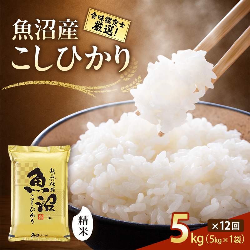 【令和8年産 先行予約】「12カ月定期便」食味鑑定士厳選！魚沼産こしひかり 5kg×12回 白米 米 コシヒカリ 定期 新潟県 十日町市