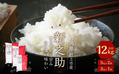 【令和7年産米】新潟県村上市産新之助12kg B4030