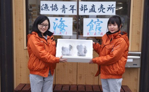 奥尻島産 活蝦夷アワビ（養殖）10個入り 70mm以上 | 北海道 奥尻町 送料無料