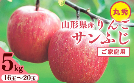 《ご家庭用》 令和8年産 りんご 「サンふじ」 丸秀品 5kg 2026年産 山形県産【2026年11月中旬頃から12月頃発送予定】　017-B-JA049