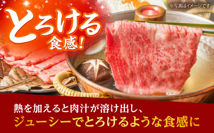 【全3回定期便】佐賀牛 リブロース スライス 500g 牛肉 定期便 ロース しゃぶしゃぶ 鍋 A5 黒毛和牛 佐賀 ギフト