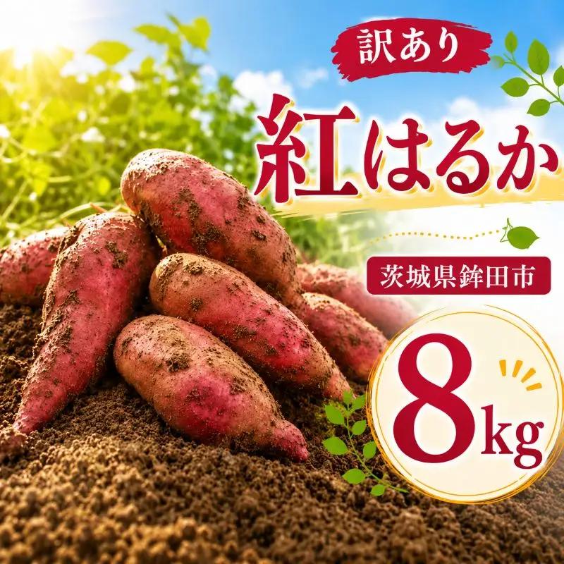 さつまいも 生芋 紅はるか 8kg 訳あり サツマイモ 【 産地直送 】