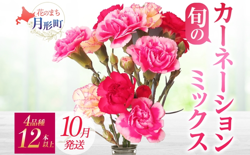 ＜10月配送＞ 北海道 カーネーション ミックス 4品種 12本以上 切り花 切花 花束 ブーケ 季節 旬 生花 フラワー アレンジメント 記念日 産地直送 つきがたふるさと花の会