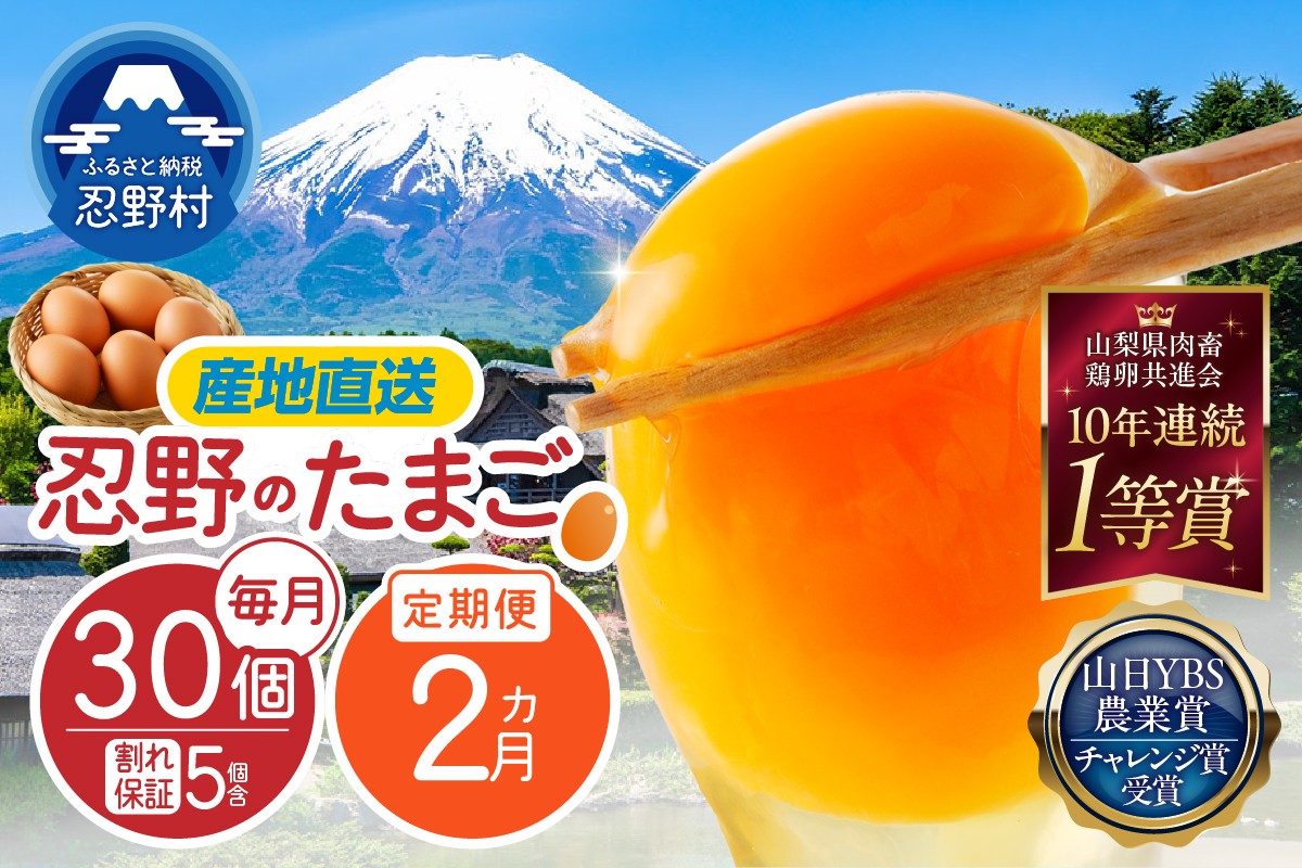 
                  【2ヶ月定期便】富士山の麓で育った産地直送 ”忍野の卵”（毎月30個×2回）※割れ保証含む　[卵 定期便 定期 国産 産地直送 毎月 生卵 玉子 たまご 卵かけご飯 卵焼き 親子丼 目玉焼き すき焼き オムライス オムレツ スイーツ作り 料理 調理 人気 鶏卵 鶏 新鮮 2ヵ月 2か月 山梨県 忍野村]
                