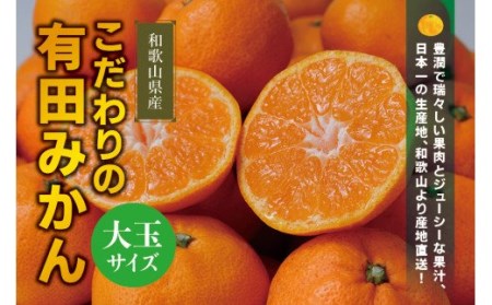 【農家直送】こだわりの有田みかん 約10kg  大玉3L以上 サイズ混合 有機質肥料100% ※2022年12月初旬～1月中旬に順次発送(お届け日指定不可) 【nuk140f】
