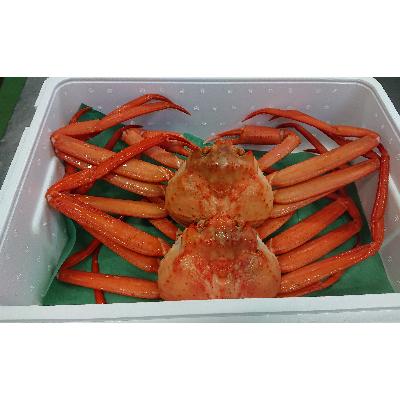 ふるさと納税 射水市 紅ズワイガニ 600g以上×2 |  | 01