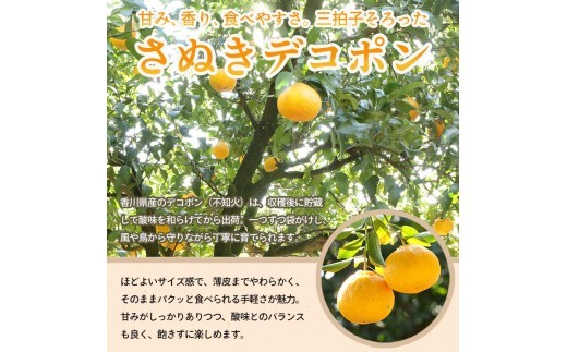 先行予約 デコポン 約1.5kg 果物 フルーツ デコポン 不知火 みかん 蜜柑 柑橘 デザート スイーツ ケーキ ジュース ゼリー アイス シャーベット ジェラート ギフト 家庭用 旬の果物 旬 お