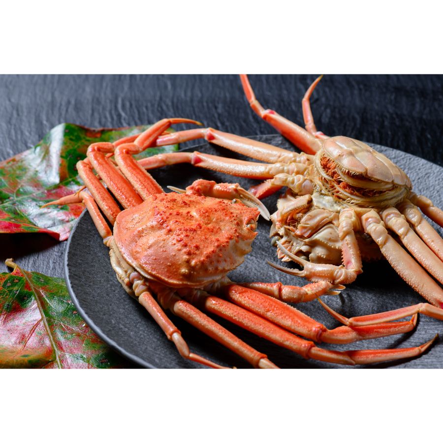 ＜蟹の匠 魚政＞セイコガニの甲羅盛り　蟹の宝船(たからぶね)　特大サイズ(105ｇ）× 5個濃縮ダシ付き