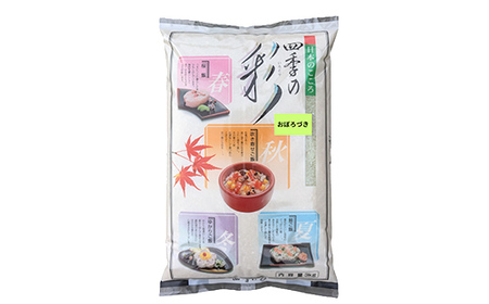 【令和7年度産 】 【新米】 特別栽培米おぼろづき 3kg 白米 北海道産 米 コメ こめ お米 白米 玄米 通常発送 F4F-9844