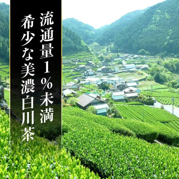 美濃白川茶 新茶セット 200g【先行予約】白川町農業開発[AWAH005]新茶